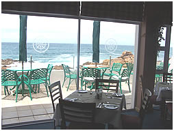 View from Dining Room